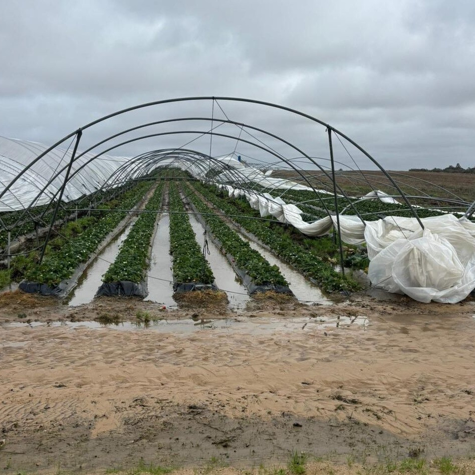 Imagem relacionada ao artigo Tesla Powerwall 3 Campaign: Get up to €900 Back on Your Installation